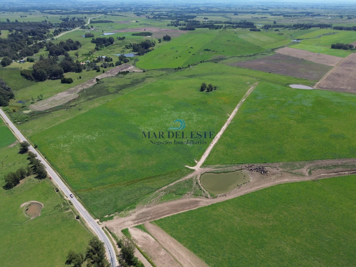 Campo Ref.96 - Chacra de 42 has. Entre R.104 y Camino Medellín