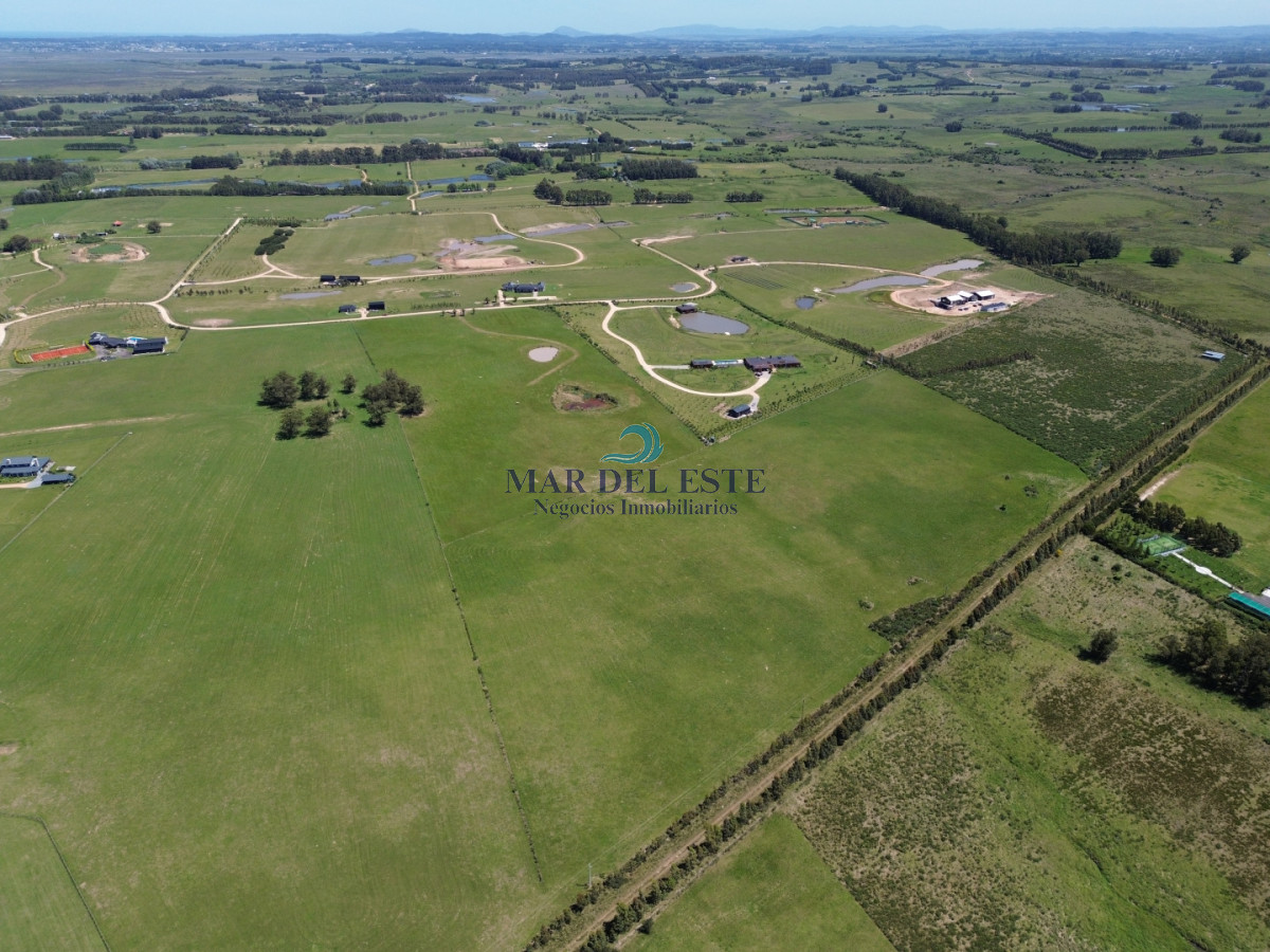 Campo Ref.97 - Chacra de 15 has. Ruta 104