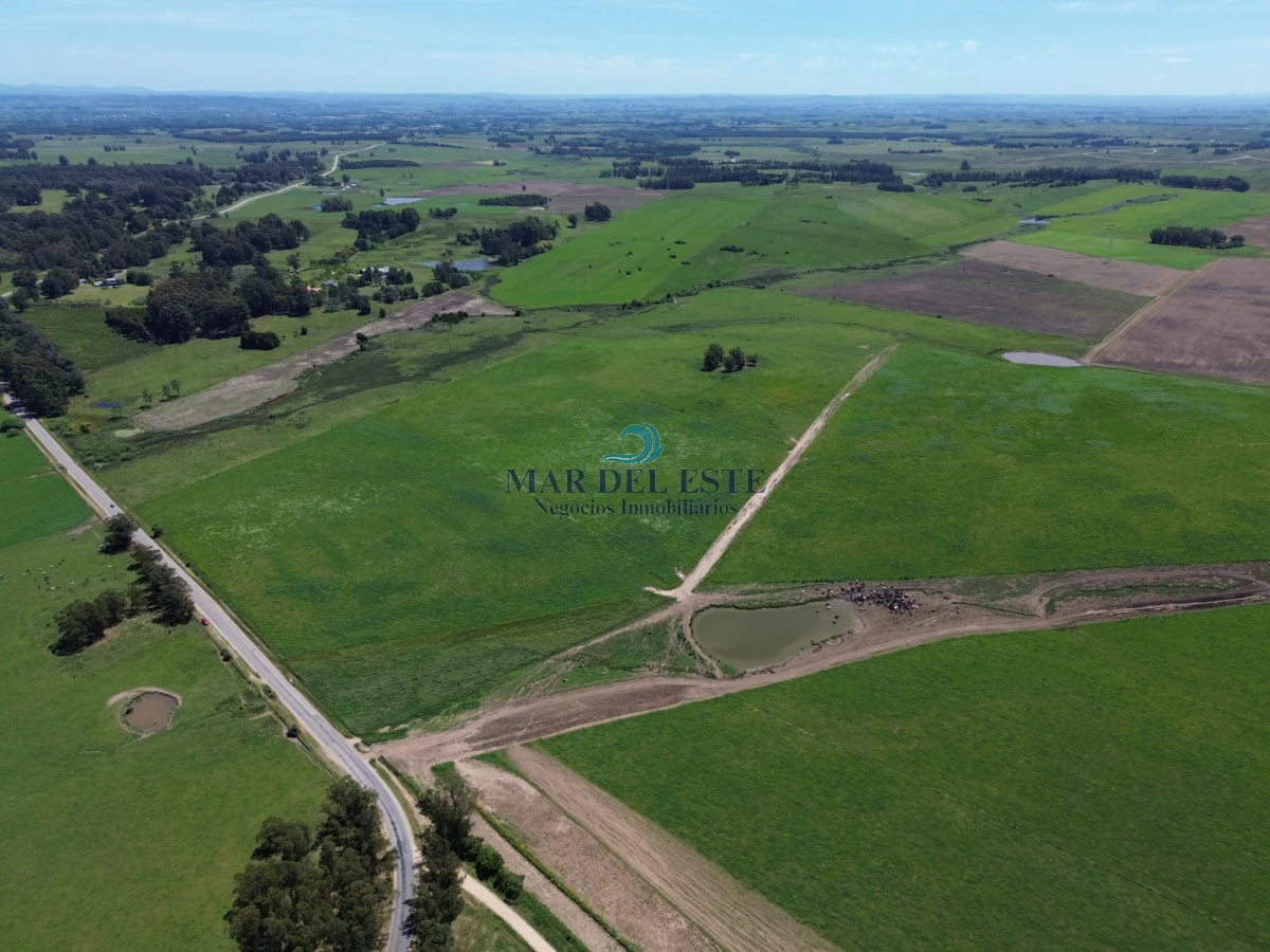 Campo Ref.96 - Chacra de 42 has. Entre R.104 y Camino Medellín