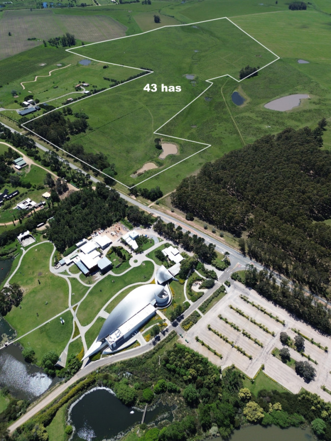 CHACRA DE 43 HAS .R 104