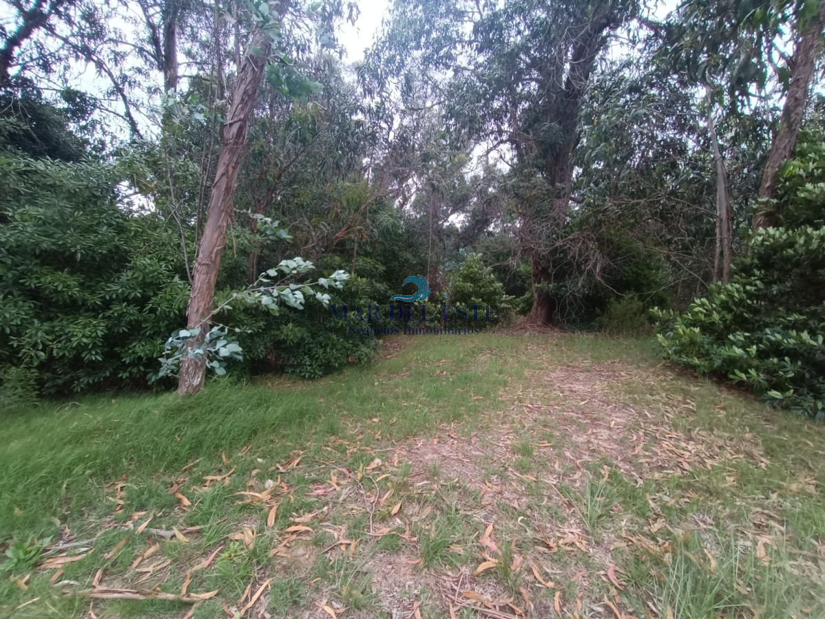 Terreno ID.25 - Gran terreno en Santa Mónica