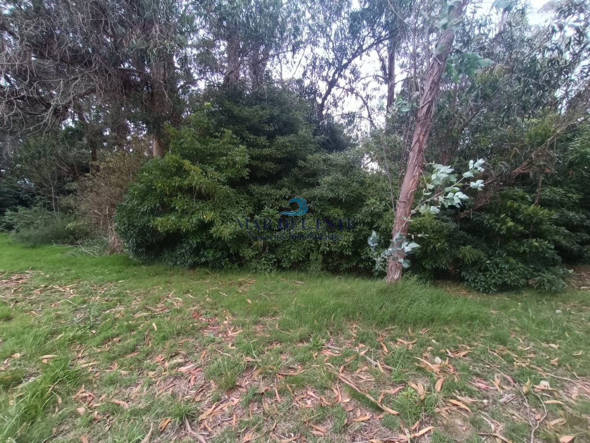 Terreno ID.25 - Gran terreno en Santa Mónica