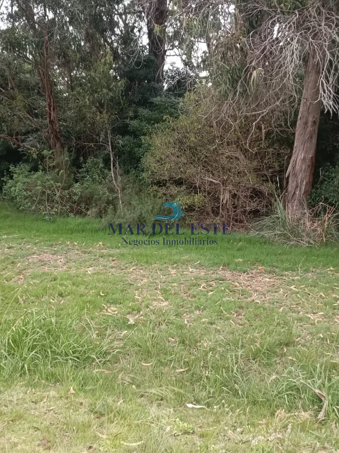 Terreno ID.25 - Gran terreno en Santa Mónica