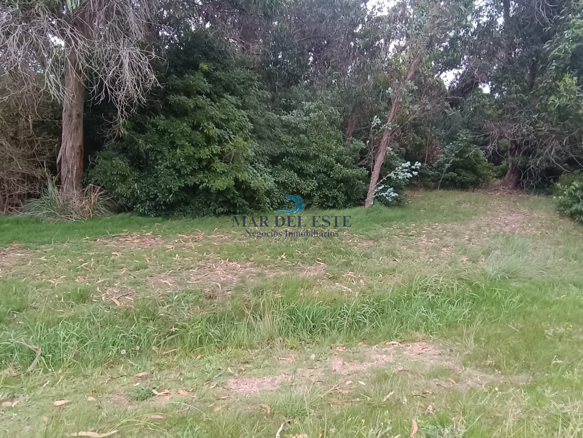 Terreno ID.25 - Gran terreno en Santa Mónica