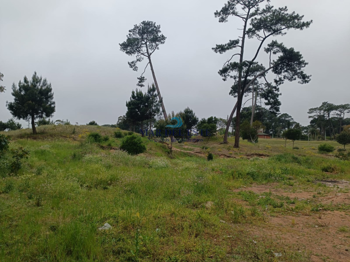 Terreno ID.17 - Gran terreno en zona Azotea de Haedo