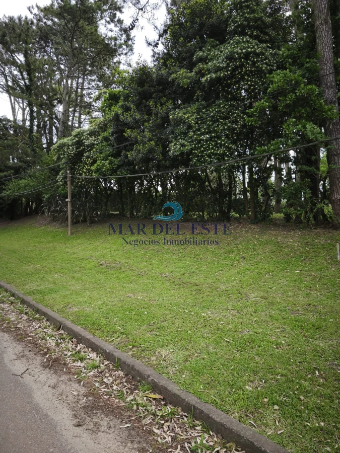 Terreno ID.99 - Oportunidad Terreno en San Rafael