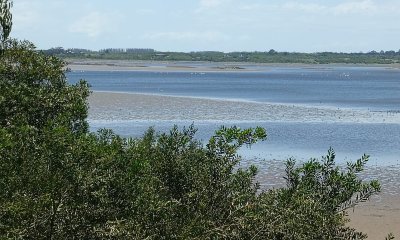 Terreno sobre laguna José Ignacio