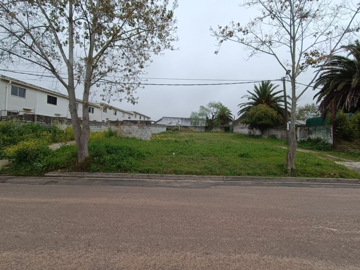 Terreno en Barrio Scalone de 1349m2