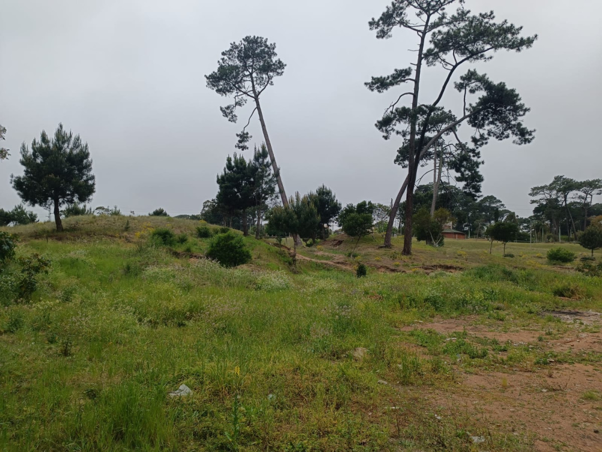 Gran terreno en zona Azotea de Haedo