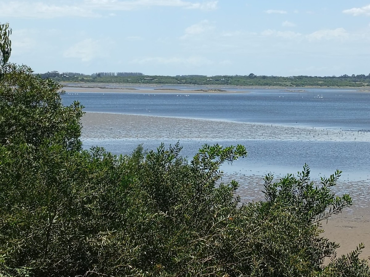 Terreno sobre laguna José Ignacio         