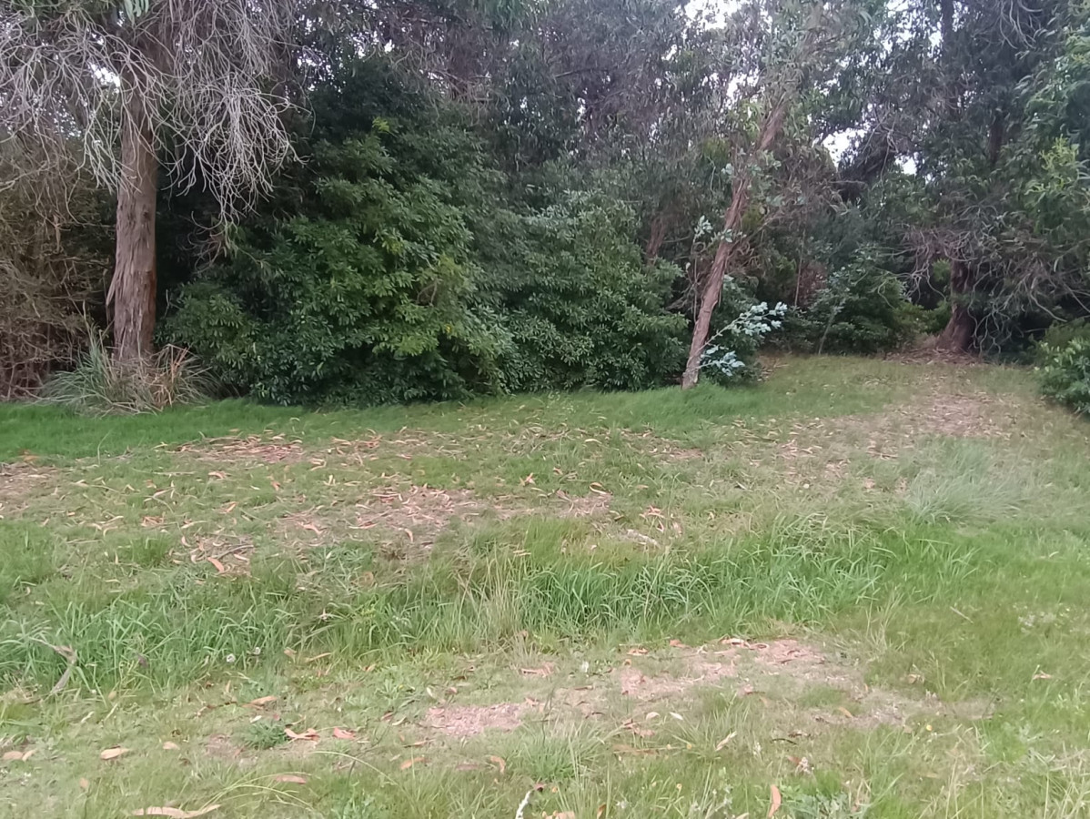 Gran terreno en Santa Mónica