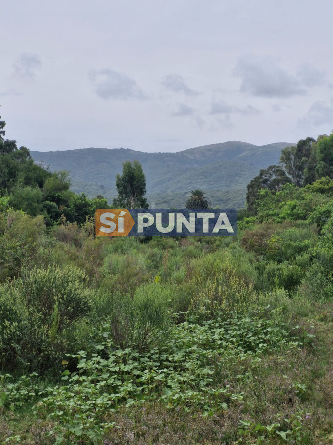 Chacra ID.12466 - Venta 3 Chacras en Estación Las Flores