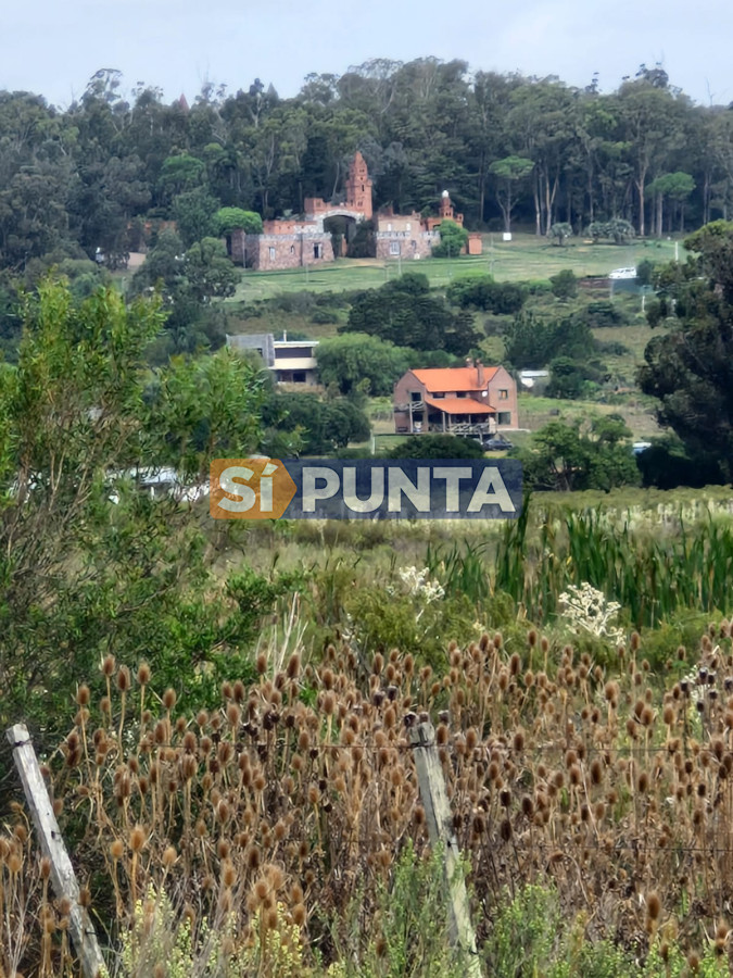 Chacra ID.12466 - Venta 3 Chacras en Estación Las Flores