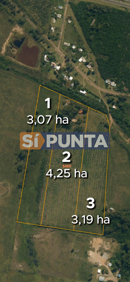 Chacra ID.12466 - Venta 3 Chacras en Estación Las Flores