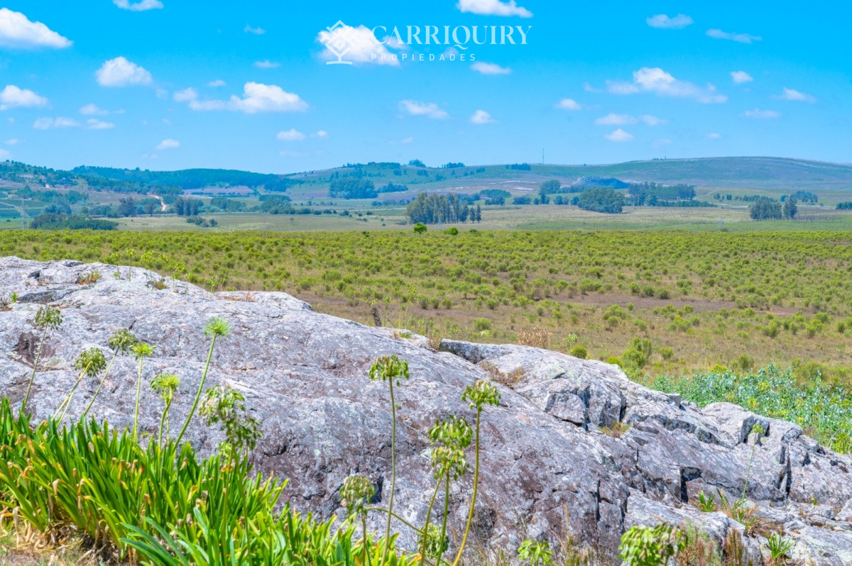 Chacra ID.9485/Venta-y-Alquiler-de-excelente-chacra-hotel-en-MANANTIALES - Venta chacra en Ruta 9 con espectacular vista a Laguna del Sauce.