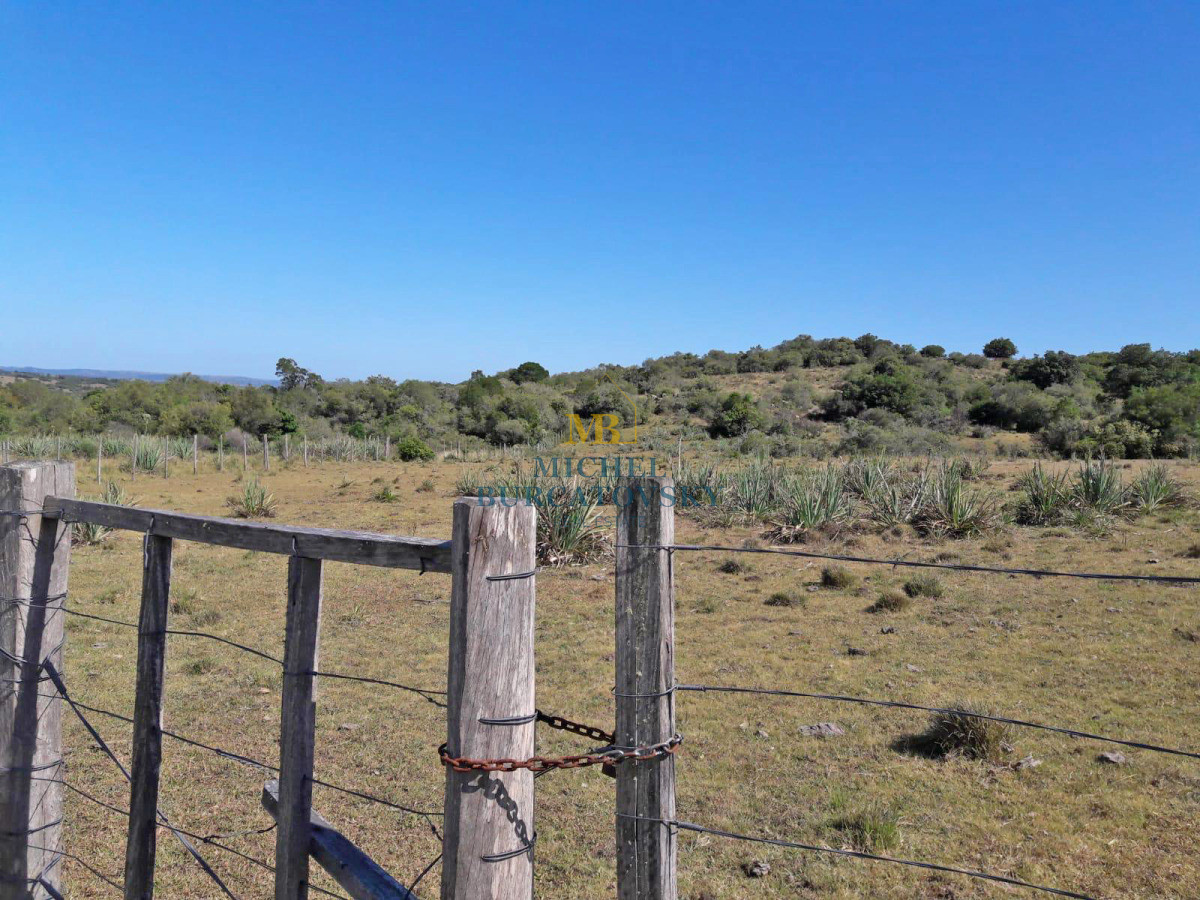 Venta Campo en Maldonado Ruta 109 Cerca de Aiguá 54,9 Hectáreas - BKY99P