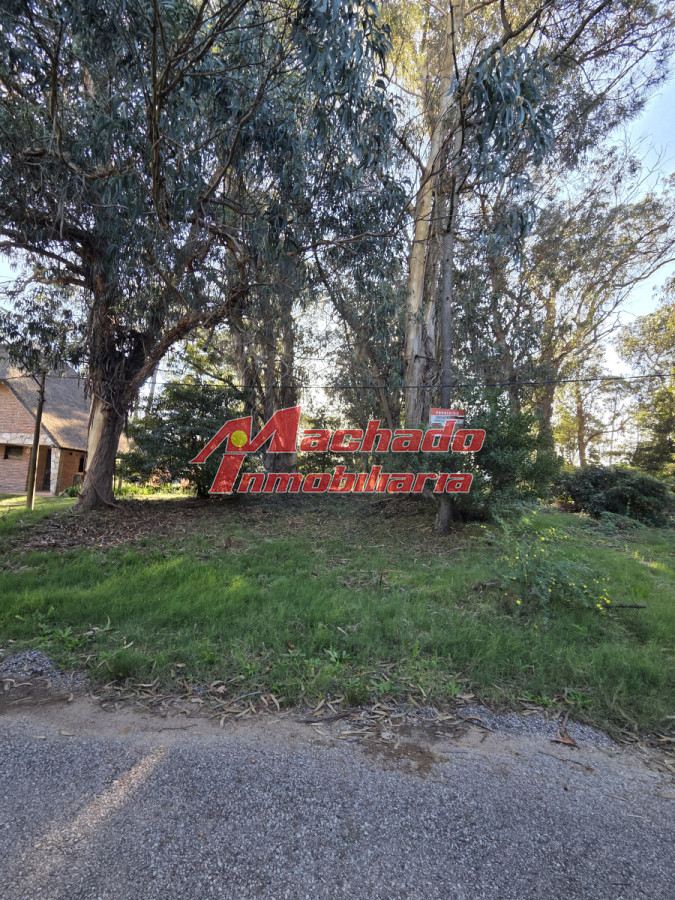 Pinares - GoPunta - Portal Inmobiliario de Punta del Este - Maldonado