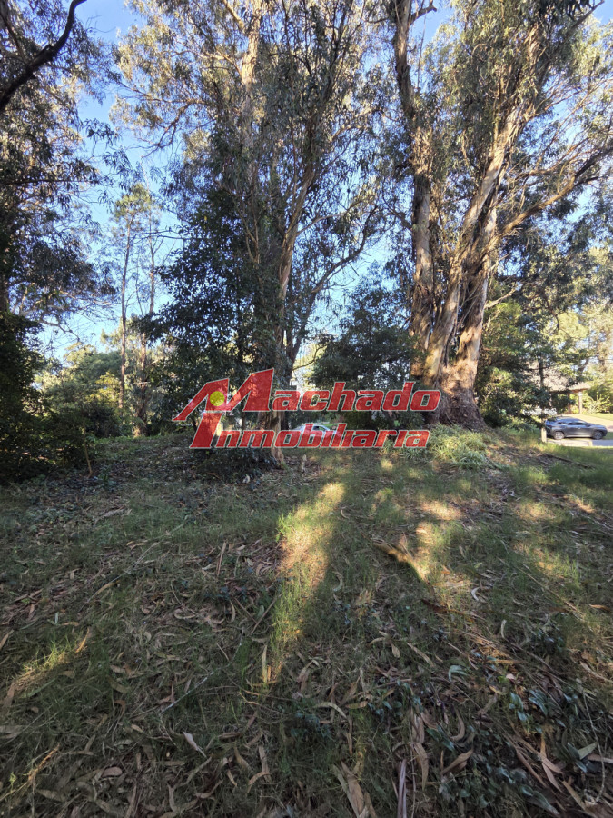 Pinares - GoPunta - Portal Inmobiliario de Punta del Este - Maldonado