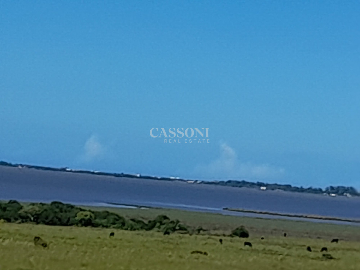 Campo Ref.4626 - Espectacular campo sibre Laguna José Ignacio