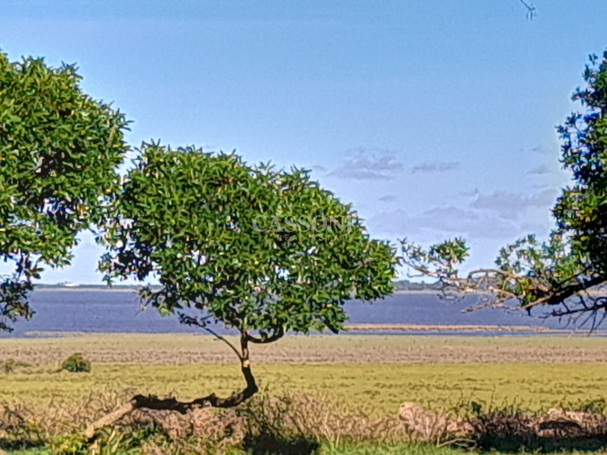 Campo Ref.4626 - Espectacular campo sibre Laguna José Ignacio