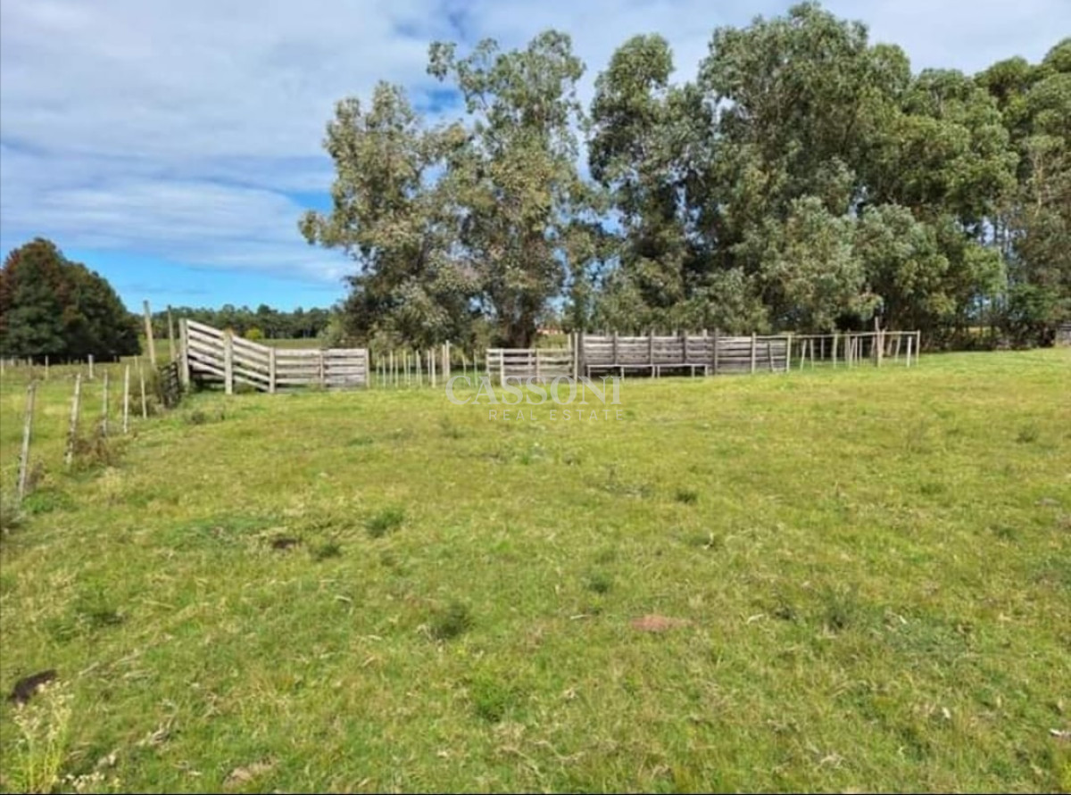 Campo Ref.3287 - Chacra en Camino de los Ceibos