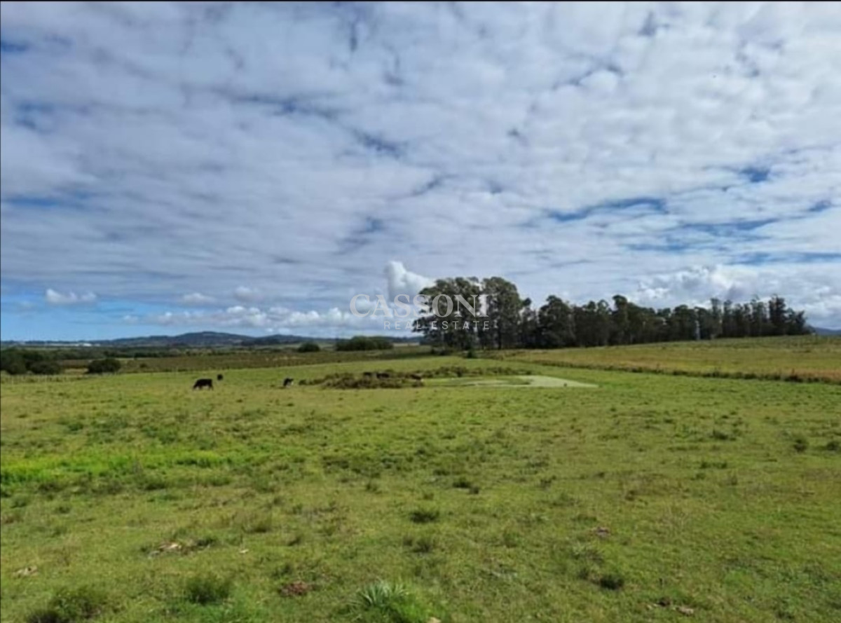 Campo Ref.3287 - Chacra en Camino de los Ceibos