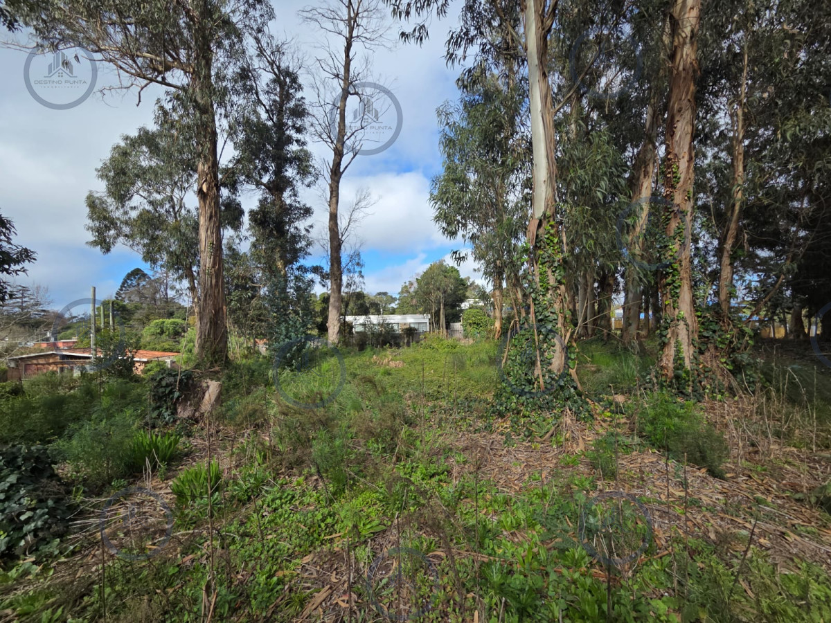 Oportunidad Se Vende Terreno,el Jaguel 1.385 Mts2 Esquinero. — fotografía 2