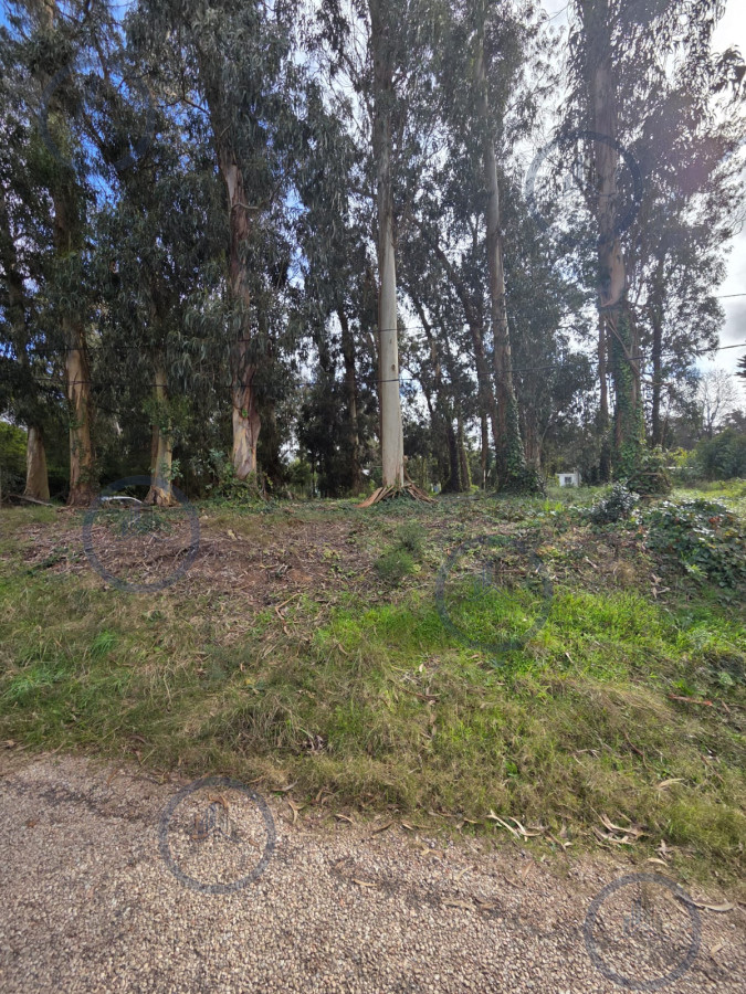 Oportunidad Se Vende Terreno,el Jaguel 1.385 Mts2 Esquinero. — fotografía 4