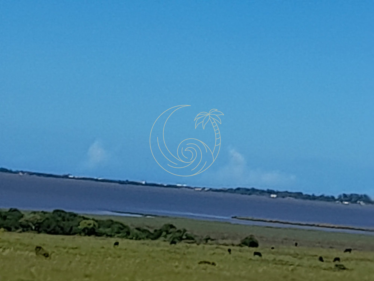 Campo Ref.21092874 - Espectacular campo sibre Laguna José Ignacio