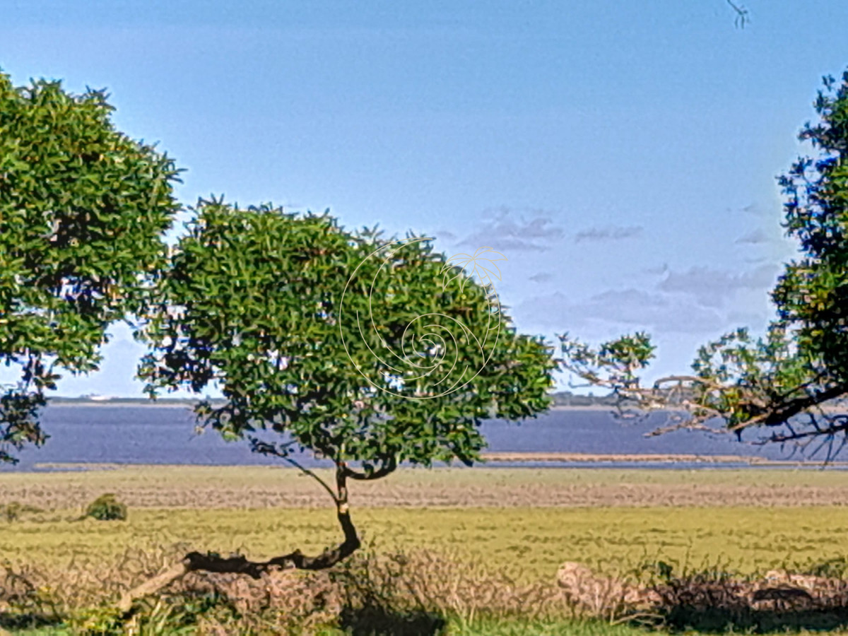Campo Ref.21092874 - Espectacular campo sibre Laguna José Ignacio