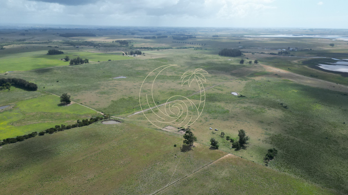 Campo Ref.21092874 - Espectacular campo sibre Laguna José Ignacio
