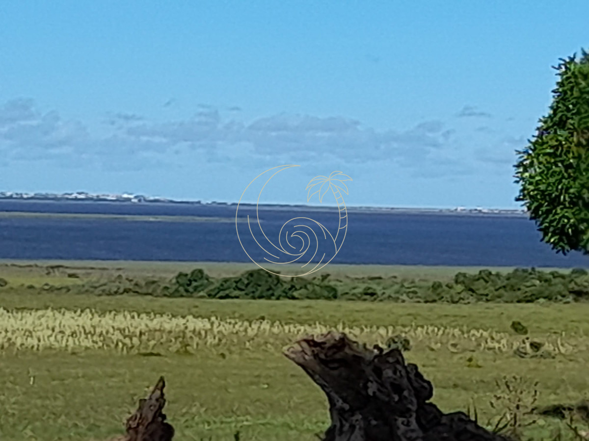 Campo Ref.21092874 - Espectacular campo sibre Laguna José Ignacio