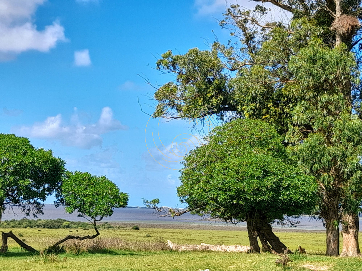 Campo Ref.21092874 - Espectacular campo sibre Laguna José Ignacio