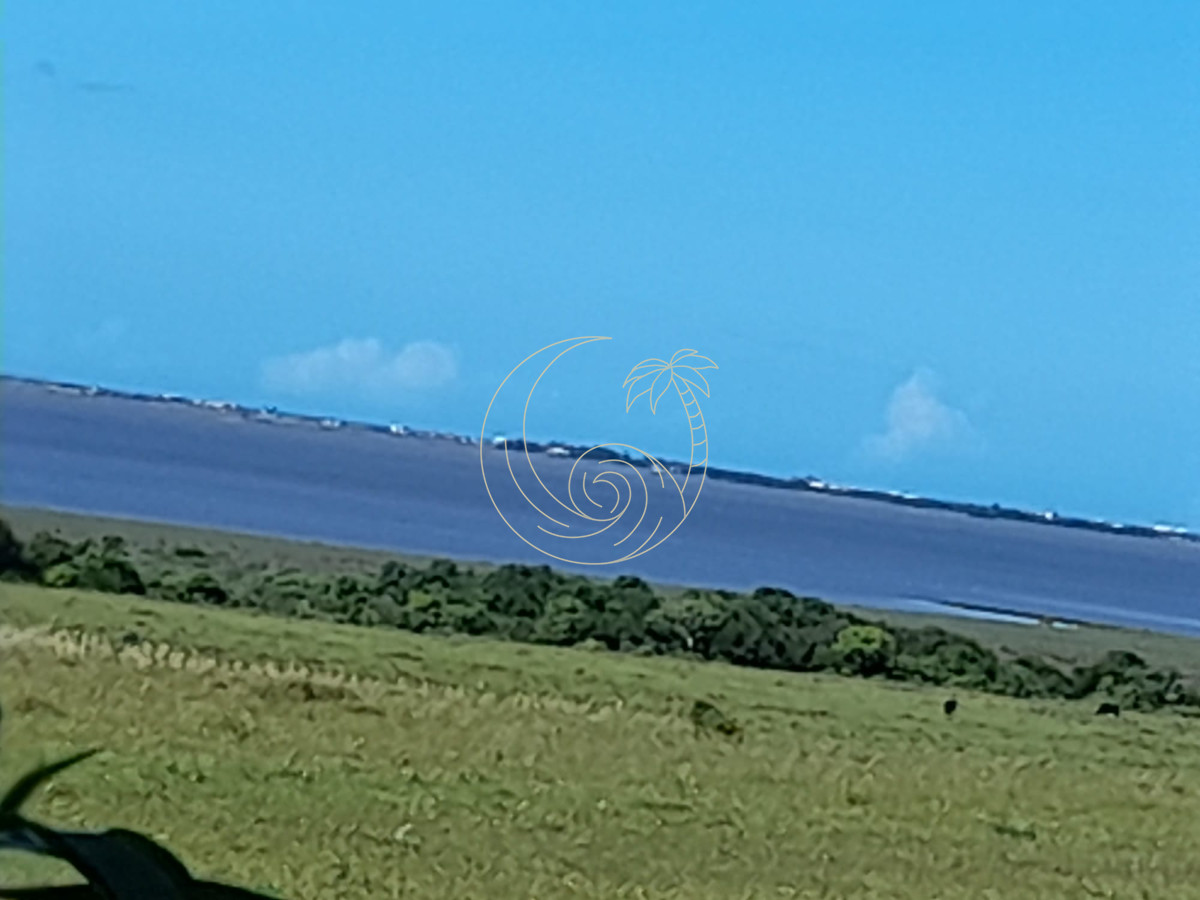 Campo Ref.21092874 - Espectacular campo sibre Laguna José Ignacio