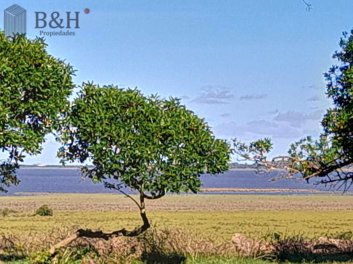 Campo Ref.5340 - Espectacular campo sibre Laguna José Ignacio