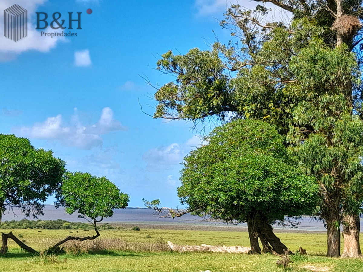 Campo Ref.5340 - Espectacular campo sibre Laguna José Ignacio