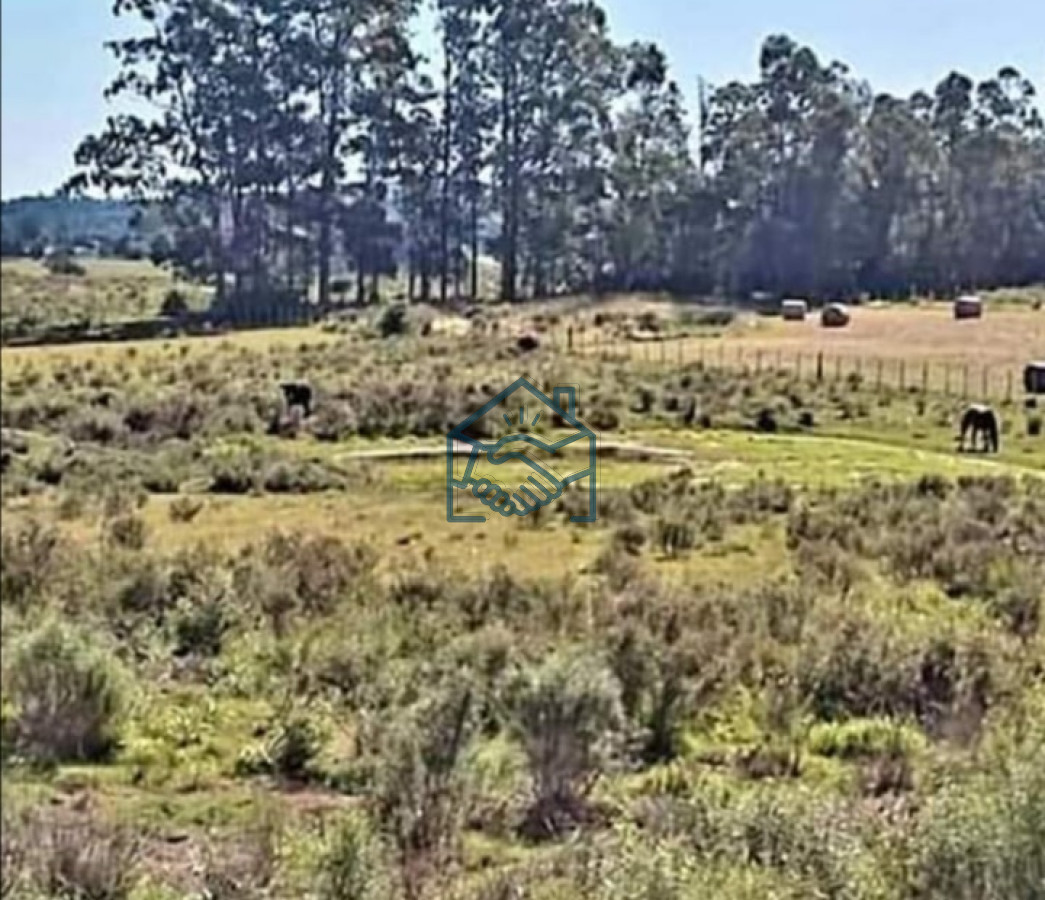 Campo Ref.1193/Chacra-en-Camino-de-los-Ceibos - Chacra en Camino de los Ceibos