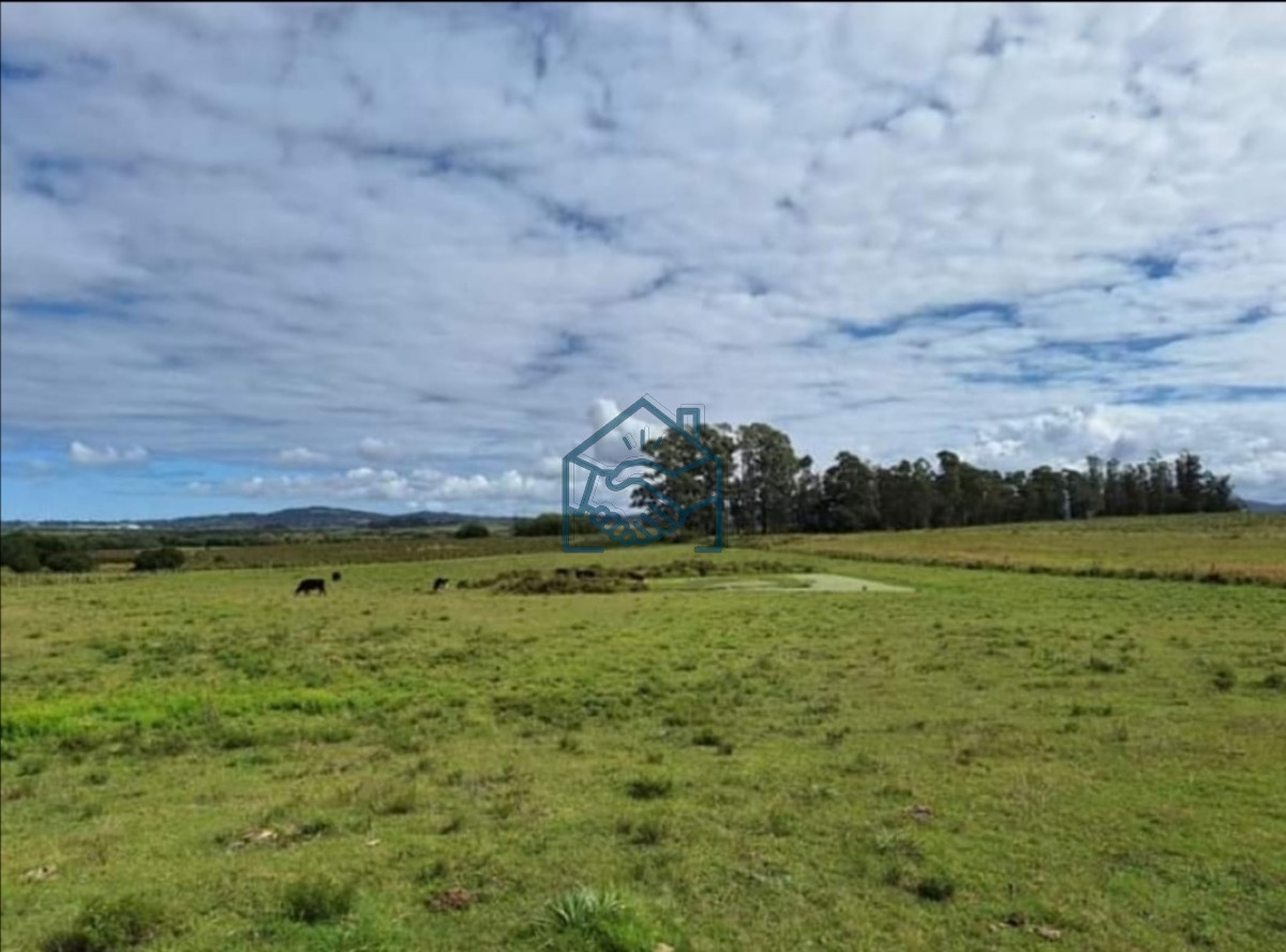 Campo Ref.1193/Chacra-en-Camino-de-los-Ceibos - Chacra en Camino de los Ceibos