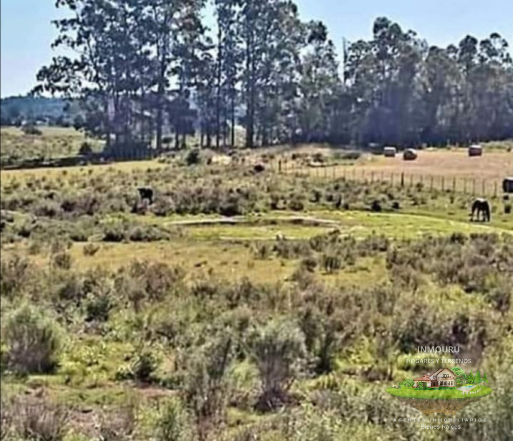 Campo Ref.784 - Chacra en Camino de los Ceibos