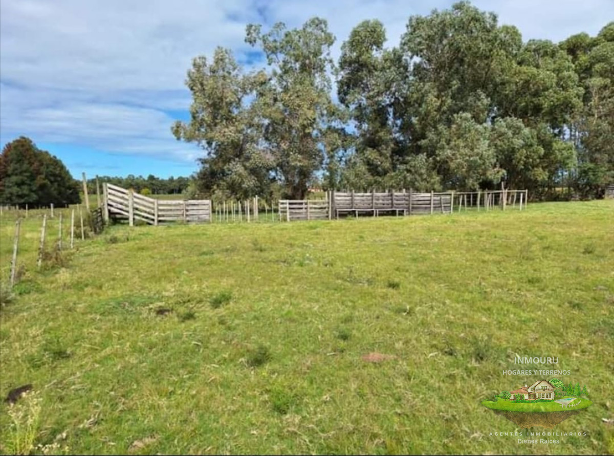Campo Ref.784 - Chacra en Camino de los Ceibos