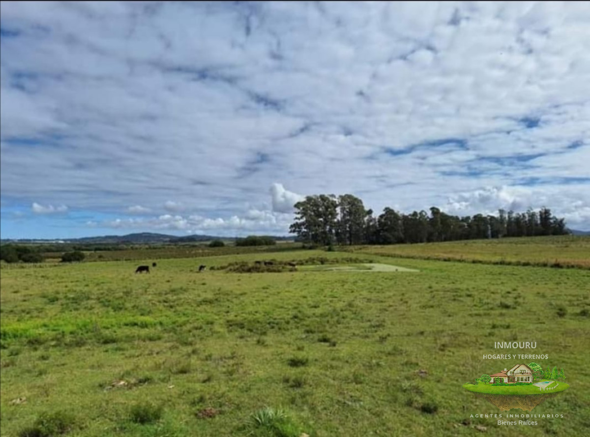 Campo Ref.784 - Chacra en Camino de los Ceibos
