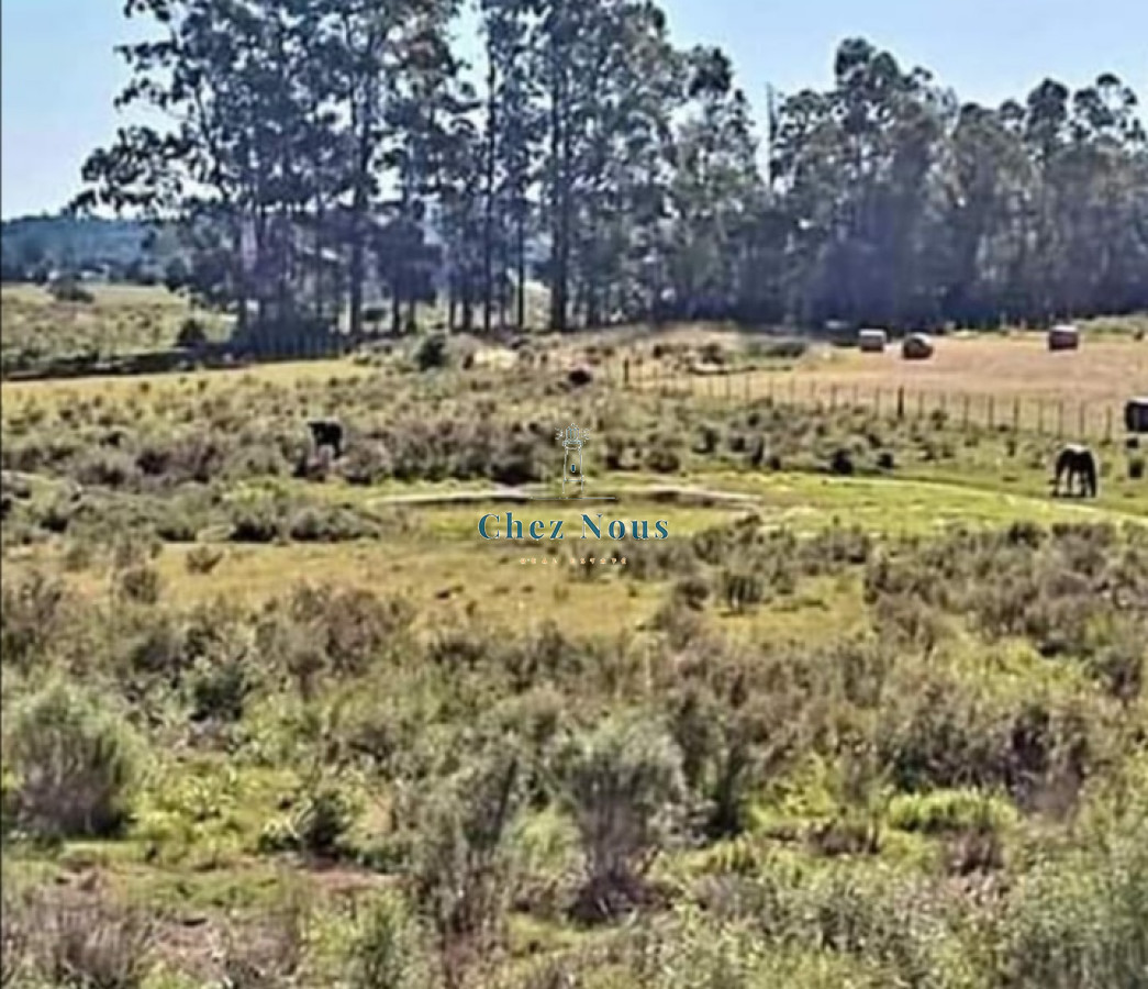 Campo Ref.327 - Chacra en Camino de los Ceibos