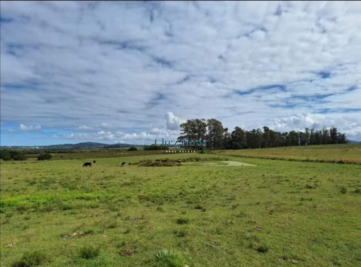 Campo Ref.327 - Chacra en Camino de los Ceibos