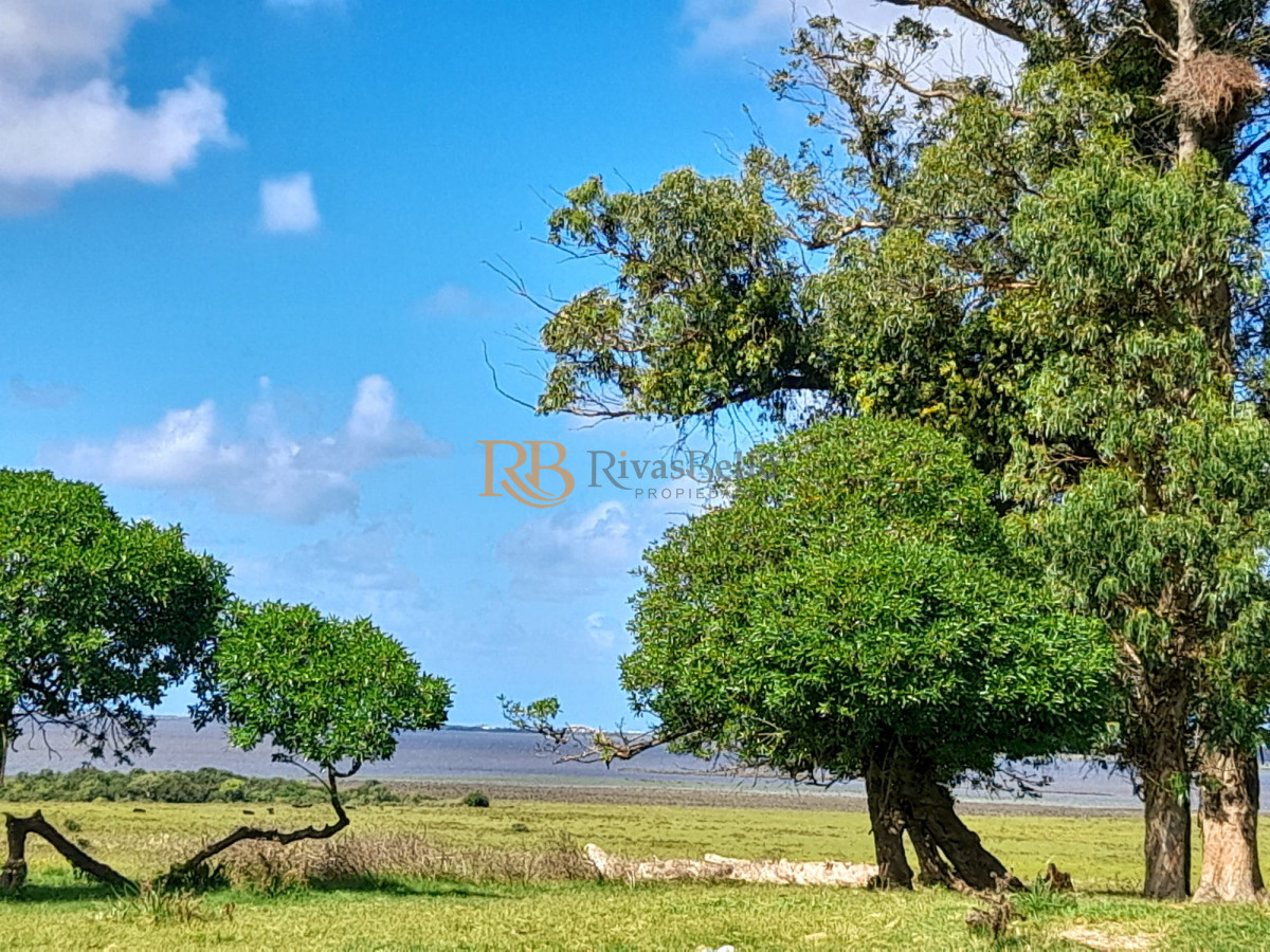 Campo Ref.99 - Espectacular campo sibre Laguna José Ignacio