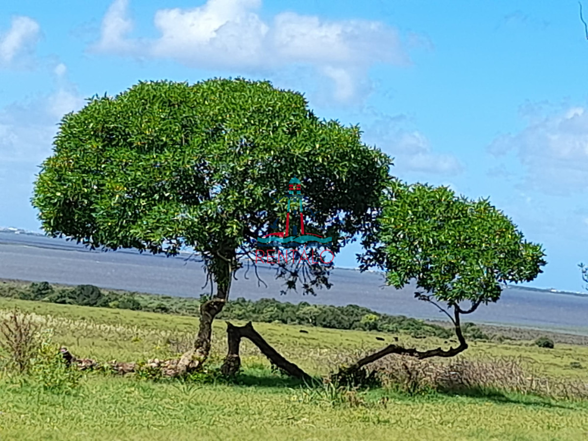 Campo Ref.150 - Campo en venta Jose Ignacio Punta del este Maldonado Espectacular campo sibre Laguna José Ignacio