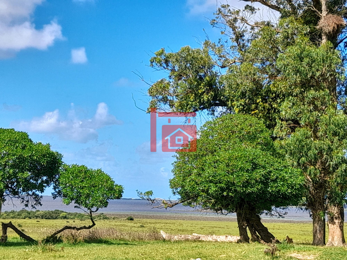 Campo Ref.64 - Espectacular campo sibre Laguna José Ignacio