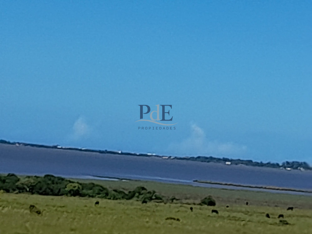 Espectacular campo en la Laguna José Ignacio - Imagen 8