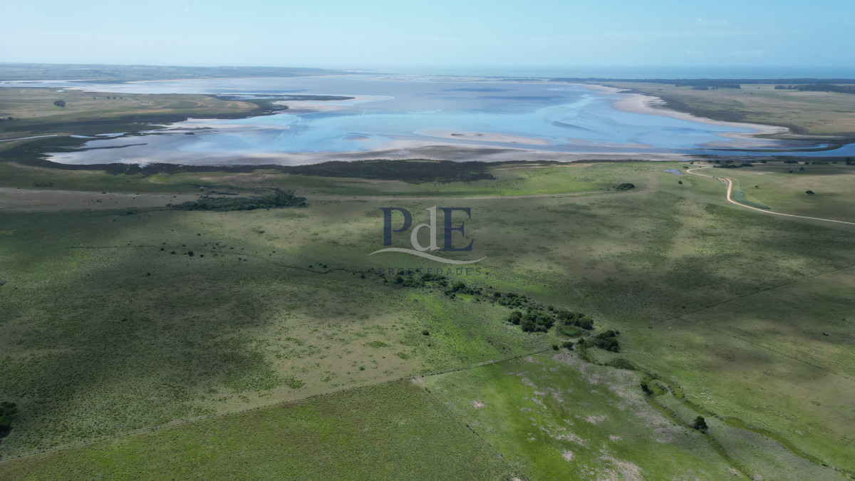 Espectacular campo en la Laguna José Ignacio - Imagen 3