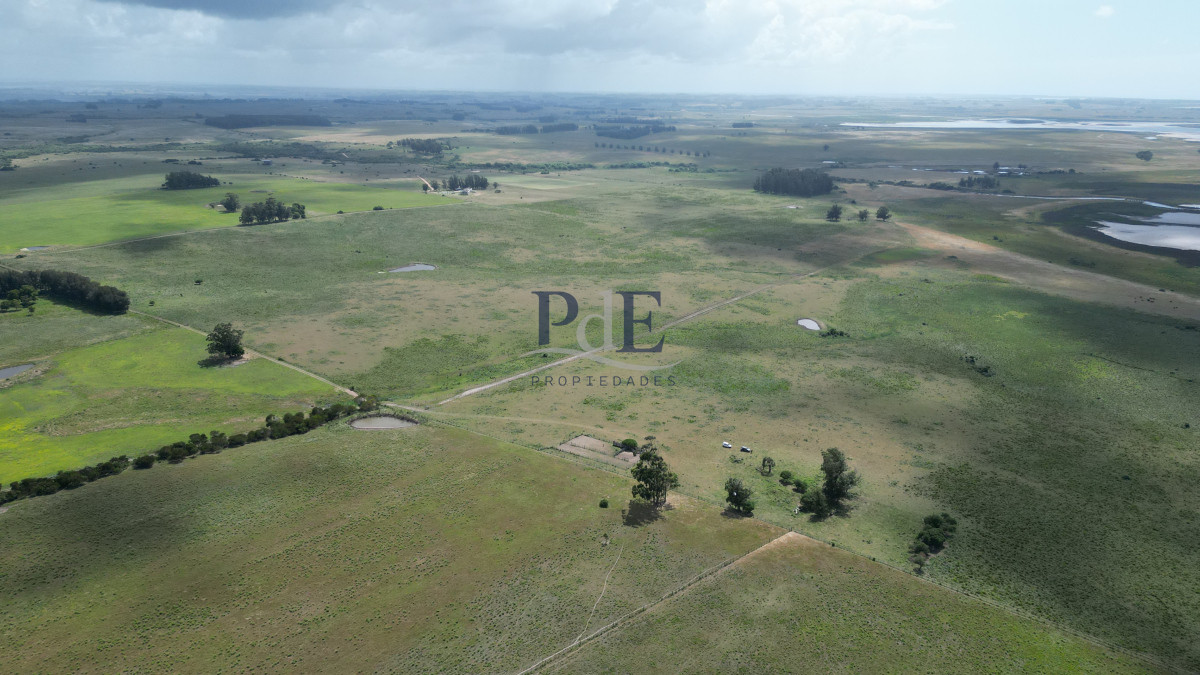 Espectacular campo en la Laguna José Ignacio - Imagen 6