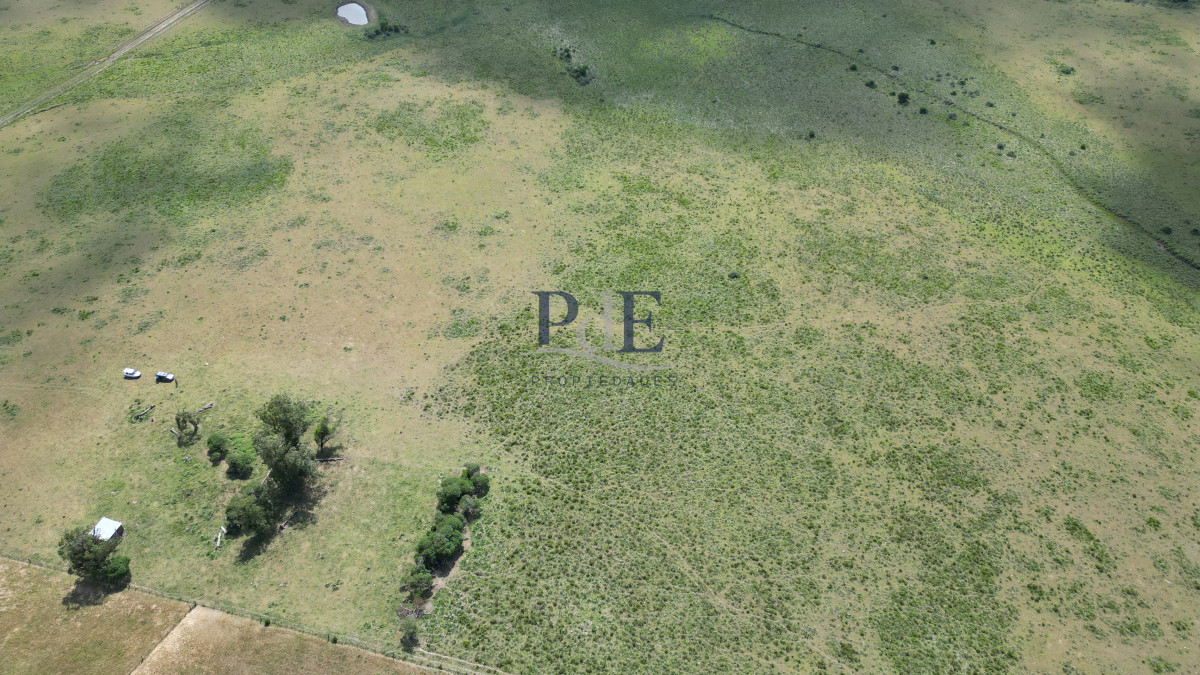 Espectacular campo en la Laguna José Ignacio - Imagen 1